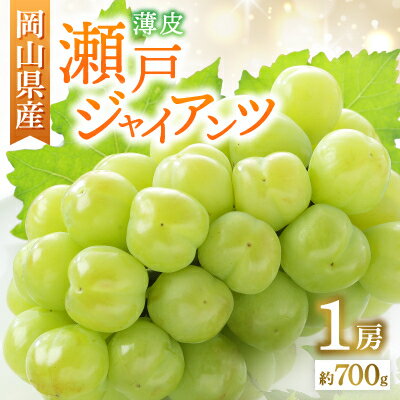 【ふるさと納税】◇先行予約◇岡山県産　瀬戸ジャイアンツ　2025年発送【配送不可地域：離島・北海道・沖縄県】【1449400】