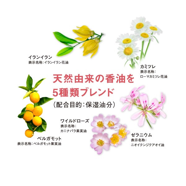 再春館製薬所 ドモホルンリンクル W洗顔 セット 化粧落とし ジェル 洗顔 石鹸