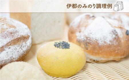 特別栽培小麦使用「糸島ブラン」と「伊都のみのり」セット 糸島市 / 天然パン工房楽楽【いとしまごころ】 小麦粉 国産[AVC003]