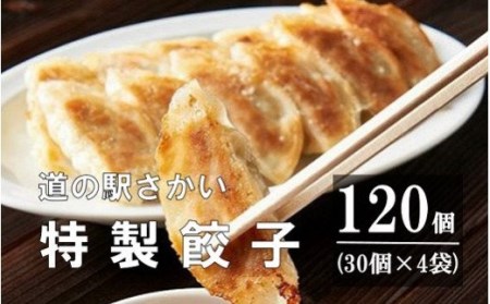 K1497 道の駅さかい特製餃子120個（冷凍）