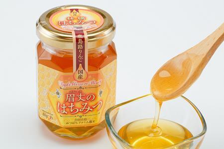 【国産蜂蜜】 はちみつ 175g × 1本 天然はちみつ りんご 蜜 蜂蜜
