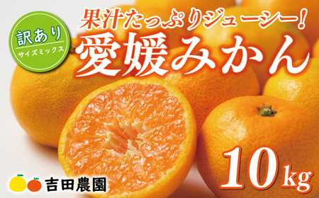 訳あり 愛媛みかん 10kg みかん
