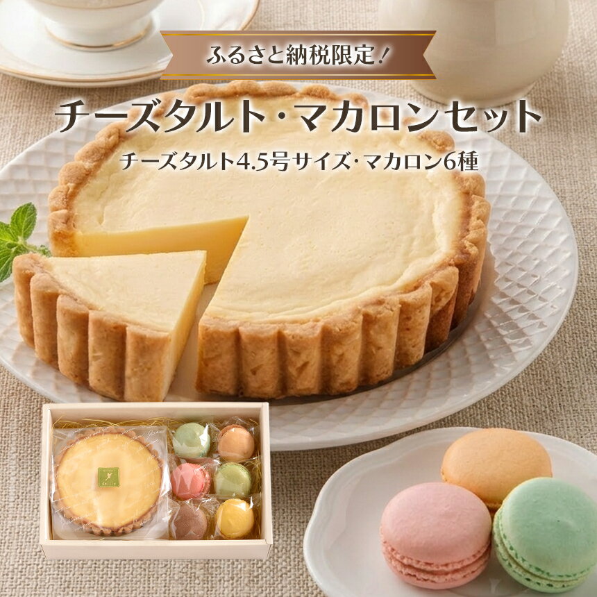 【ふるさと納税】ふるさと納税限定！「チーズタルト・マカロンセット」｜菓子 焼き菓子 洋菓子 スイーツ お土産 ギフト プレゼント おやつ 伊豆の国 静岡 静岡県