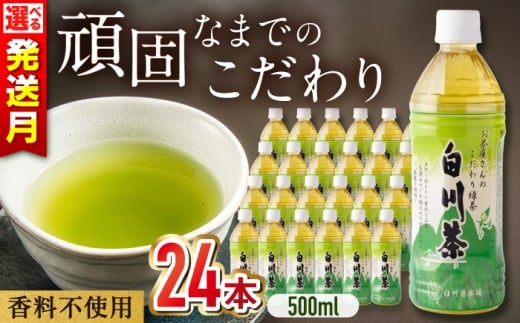 【4月発送】白川茶 ペットボトル 500ml×24本入 緑茶 お茶 ペットボトル 500ml ケース 岐阜 白川町 / 白川園本舗 [AWAT001-4]