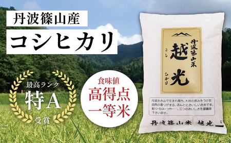 定期便 お米 特A コシヒカリ【 5kg 6回 】定期便