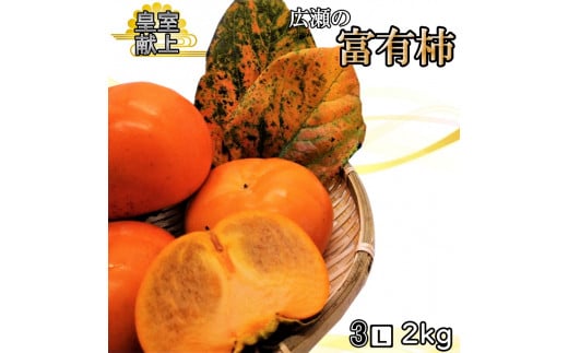 【2026年発送★先行予約】甘柿の王様　広瀬の富有柿 2kg 3Lサイズ 約5～6玉 179-014-26y
