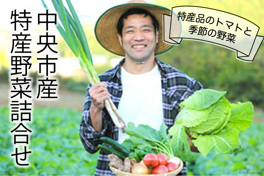 
中央市産特産野菜詰合せ
