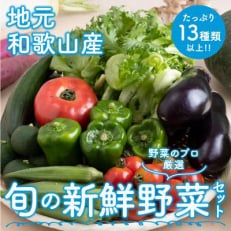 旬の新鮮野菜セットたっぷり13種以上