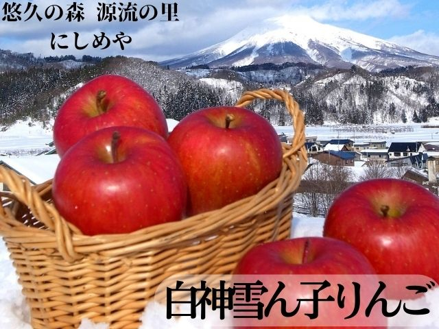 
【数量限定】【4月発送】白神の里・西目屋産りんご サンふじ 白神雪ん子りんご約10kg（雪中貯蔵りんご）
