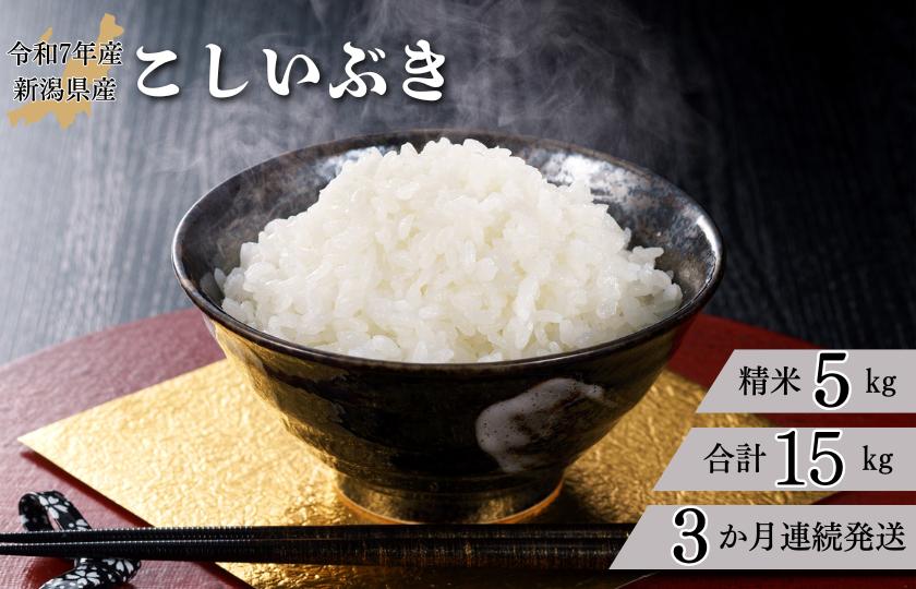 【3か月定期便】R7年産 新潟県産 こしいぶき 5kg （精米）