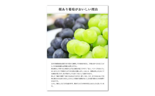 【New】幸田町産 ぶどう使用(無添加、無糖、無加水)100％ ジュース 多種類 6本詰め合わせ ぶどうジュース