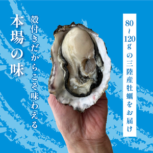 殻付き 春っこ 牡蠣 1袋 ( 12個入り ) 生食用 冷凍 数量限定 カキ かき 殻付き牡蠣