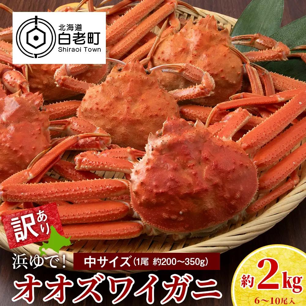 【7営業日以内発送】訳あり オオズワイガニオス 中サイズ (約200-350g) 浜ゆで 2kg (6～10尾入) AS176
