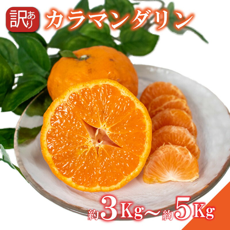 【ふるさと納税】＜4月中旬～5月上旬発送予定＞ 訳あり カラマンダリン 5kg 柑橘 みかん 訳あり 愛媛県 松山市 訳ありみかん 柑橘 ふるさと納税 期間限定柑橘 ふるさと納税みかん 訳ありみかん