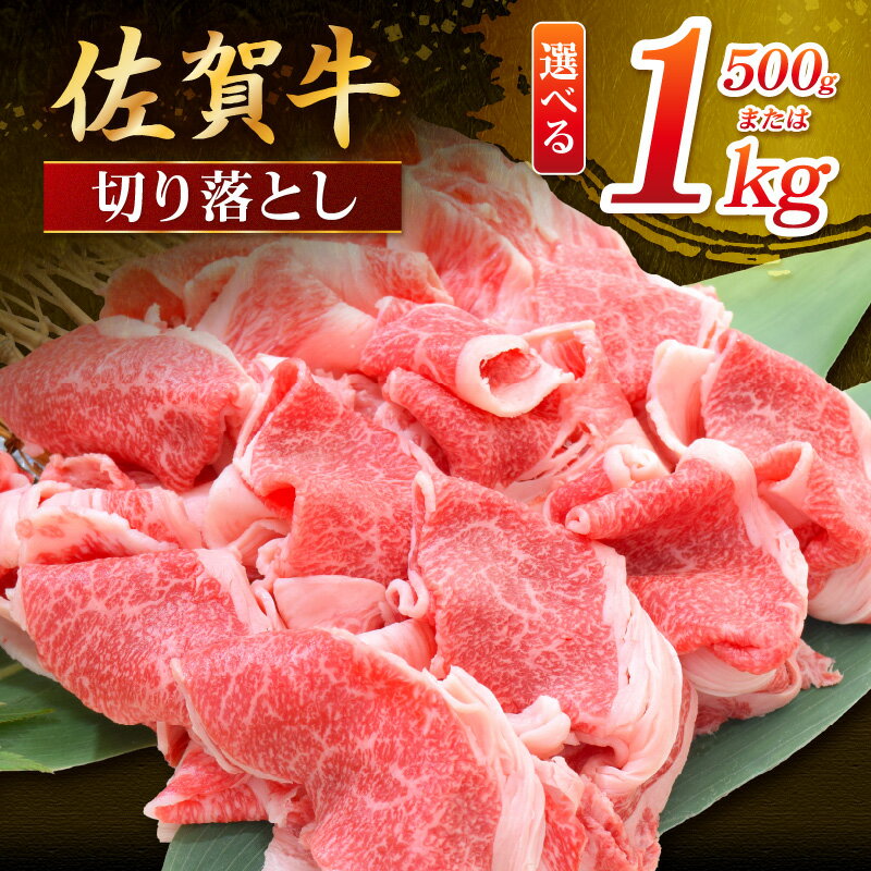 【ふるさと納税】佐賀牛 切り落とし＜容量が選べる／500g 1000g＞