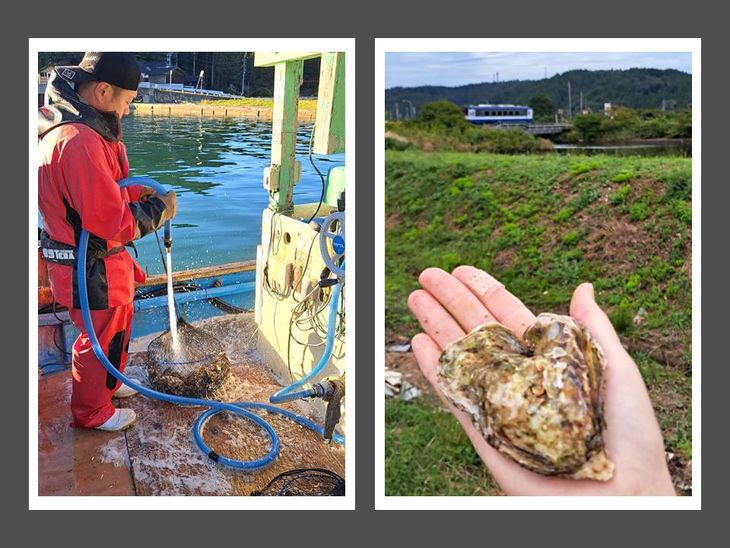 石川県七尾産　能登かき　殻付き　半缶（40～50個） 加熱調理用 ※離島への配送不可 ※2025年1月より順次発送