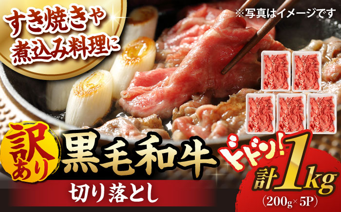 
                  【訳あり】 切り落とし 1.0kg (200g×5) 長崎和牛 黒毛和牛  【夢ファームシュシュ】 [WF20] 肉 牛肉 しゃぶしゃぶ すき焼き 訳アリ ワケあり
                