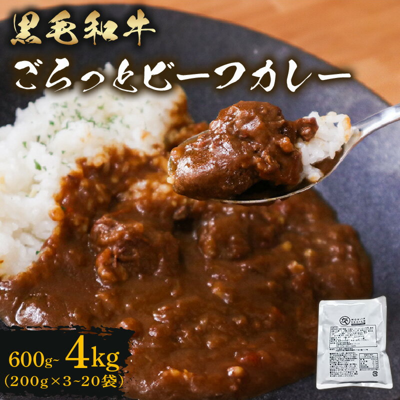 【ふるさと納税】 訳あり 黒毛和牛 レトルト カレー 200g×3~20袋 選べる 容量 600g~4kg パウチ レトルトカレー 牛肉 ビーフカレー 和牛 簡易包装 温めるだけ 簡単調理 時短 レンジ 湯煎 備蓄 家庭用 たっぷり 200g カレーうどん カレーライス お取り寄せ 大阪府 松原市