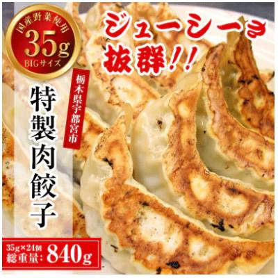 ふるさと納税 宇都宮市 【毎月定期便】餃子専門店 宇都宮悟空 特製肉餃子24個入全6回