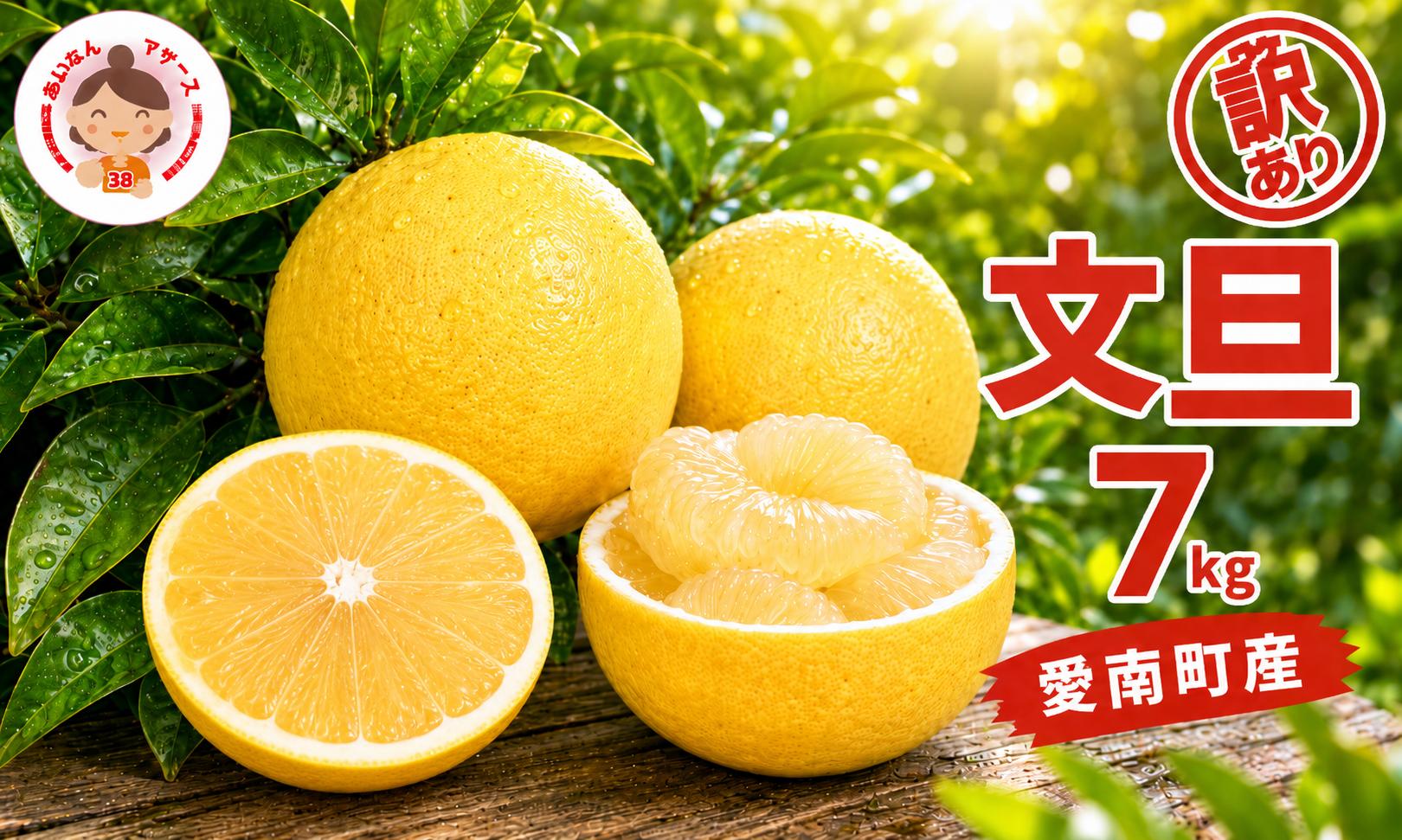 
                  [先行予約2027年2月～発送] 訳あり 文旦 7kg （ Lサイズ 以上 ） 7000円 ぶんたん みかん mikan 蜜柑 ミカン 家庭用 産地直送 国産 農家直送 減農薬期間限定 数量限定 特産品 ゼリー ジュース 人気 限定 甘い 果実 果肉 フルーツ 果物 柑橘 先行 事前 予約 受付 ビタミン 健康 美味しい おいしい ジューシー サイズ ミックス あいなんマザーズ 愛南町 愛媛県
                