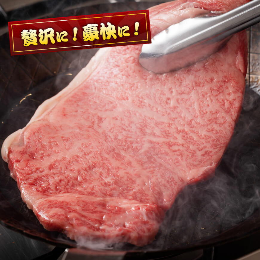 《数量限定》 宮崎牛ロースステーキ2枚 (500g) 肉 牛 牛肉 宮崎牛 牛肉ステーキ BBQ牛肉 アウトドア牛肉 数量限定牛肉 送料無料牛肉 [D0602]