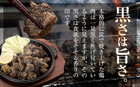鶏 炭火焼き 焼き鳥 冷凍 110g 1袋《30日以内に出荷予定(土日祝除く)》熊本県 御船町 とり 鶏肉 国産 おつまみ ごはん 簡単調理 ボイル 送料無料