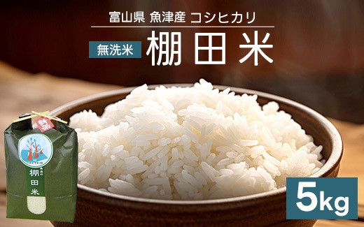 
                  【早期予約】米 令和8年産米コシヒカリ 5kg 無洗米 棚田米 ヤギの杜｜新米 先行予約 早期受付 米 こしひかり コシヒカリ こめ コメ お米 おこめ 白米 精米 5kg 5キロ ブランド米 お中元 ギフト ご飯 ごはん 人気 ランキング 北陸 銘柄米 高品質 富山米 北陸米 米5kg 人気米 富山コシヒカリ 北陸コシヒカリ コシヒカリ5kg  ※2026年10月上旬～発送
                