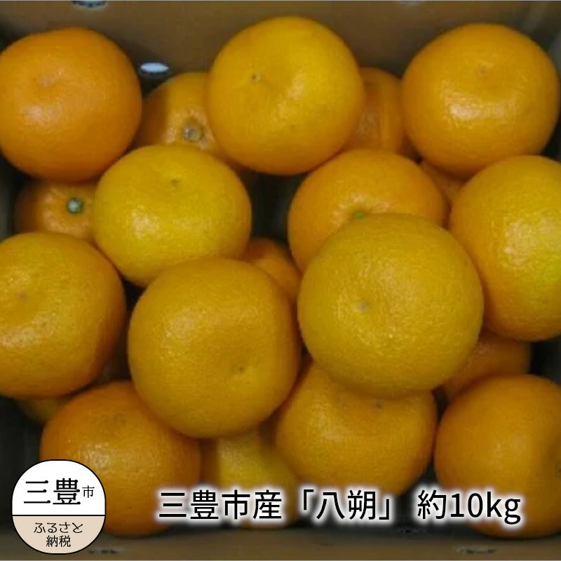 【ふるさと納税】 はっさく 厳選 八朔 約 10kg 旬の柑橘フルーツ [ 国産 柑橘類 人気 フルーツ 果物 くだもの ギフト 家庭用 贈答用 先行予約 送料無料 冬みかん デザート スイーツ ビタミンC 返礼品 10,000円 台 産地直送 お取り寄せ 香川県 三豊市 五色青果 ]