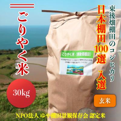 ふるさと納税 長門市 こしひかり「ごりやく米」玄米30kg【令和7年産】(1539)