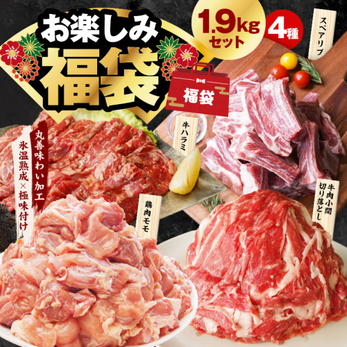 肉福袋 4種 1.9kg 焼肉セット（牛肉 切り落とし／牛ハラミ／豚肉 スペアリブ／鶏肉）【氷温熟成×極味付け 焼くだけ 食べ比べ ふくぶくろ お楽しみ 簡単調理】 mrz0327