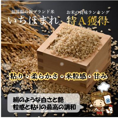ふるさと納税 あわら市 【毎月定期便】いちほまれ 玄米 5kg×2袋(計10kg)全6回 |  | 01