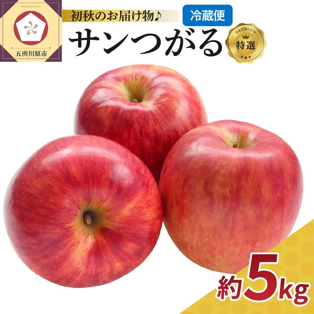 【9月発送】【特選】 りんご 5kg サンつがる 青森県産 りんご