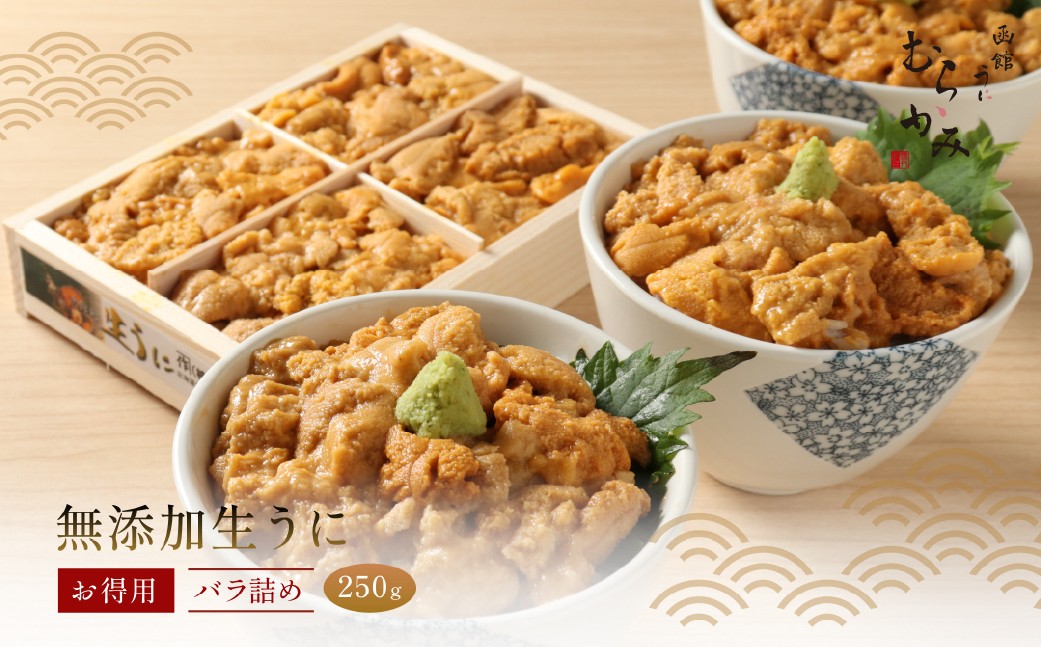 
                  「うにむらかみ」無添加生うにお得用バラ詰め250g 【 ふるさと納税 人気 おすすめ ランキング うに ウニ 雲丹 海栗 塩水ウニ 塩水うに キタムラサキウニ バフンウニ うに丼 海鮮 ミョウバン 不使用 北海道 北斗市 送料無料 】 HOKT003
                