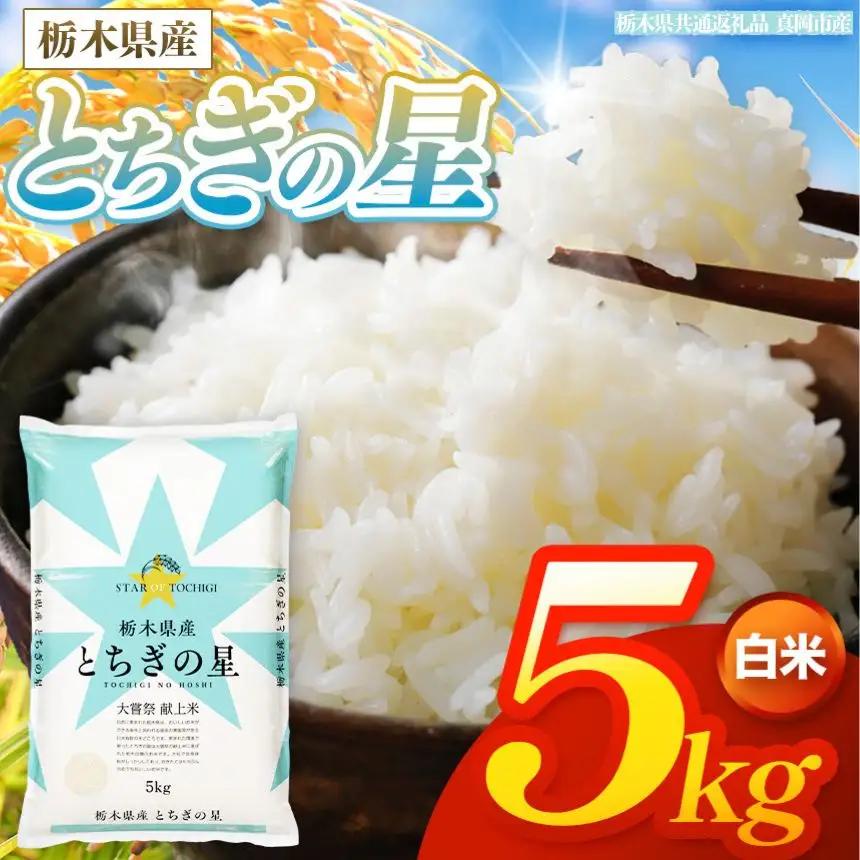 【令和8年産 新米】 栃木県産 お米 とちぎの星　（白米） 5kg 【2026年秋以降発送】 |  栃木県 矢板市 【栃木県共通返礼品 真岡市産】
