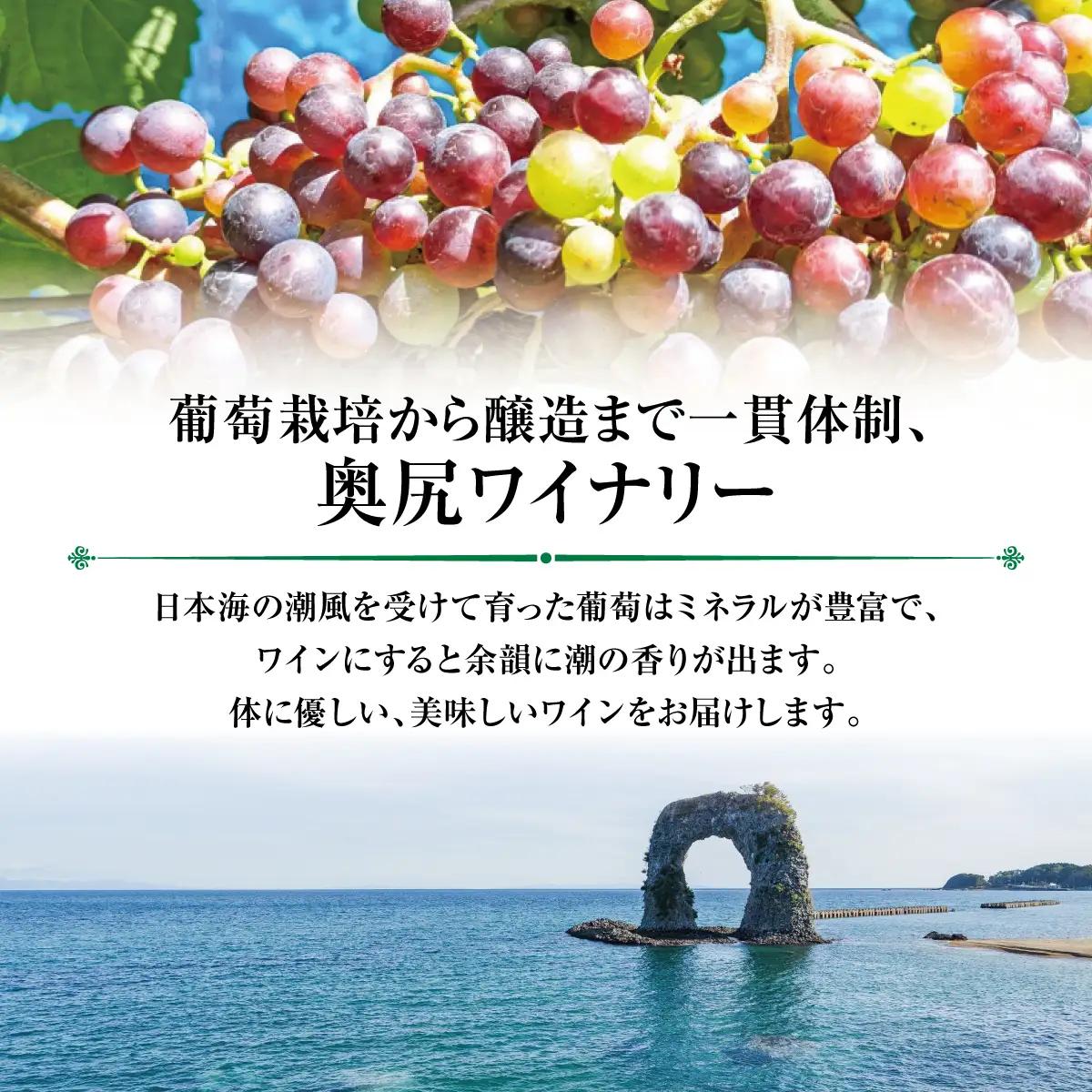 「奥尻ワイン」ピノ・グリ 「OKUSHIRI Pinot Gris」 1本 750ml  | ワイン 白ワイン ピノグリ 辛口 オレンジピール 柑橘 ボトル ワイナリー 瓶 ワインリスト ぶどう 葡萄