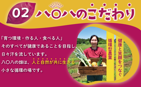 紅はるか さつまいも 9kg サイズ混合 サツマイモ 芋 産地直送