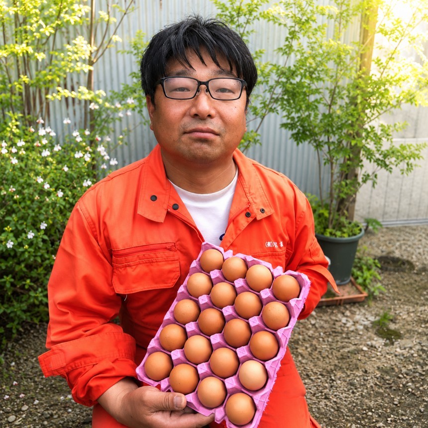 日本で育種改良された純国産鶏もみじが産んだおいしい卵を自然豊かな農場から直送します！