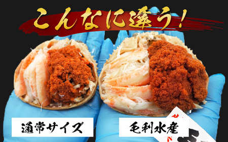 【先行予約】セコガニ甲羅盛り 約80g×6杯（約480g）※2025年11月中旬以降順次発送【年内発送受付12月10日まで】 ／ 期間限定 冷凍 蟹 カニ 解禁 便利 身出し 小分け ビール おつまみ