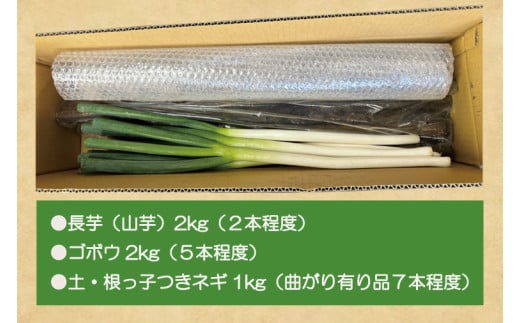 【2026年11月下旬～2027年１月下旬配送】【数量限定】水戸の３年長芋（山芋）＆愛情ネギ＆元気ゴボウの３種類セット【茨城県産 野菜 やさい 野菜セット 水戸野菜 ごぼう 牛蒡 ながいも やまいも 