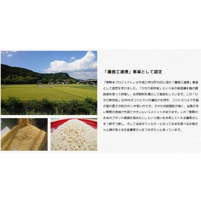 ふるさと納税 田辺市 紀州のお米 熊野米 計10kg(5kg×2) / 田辺市 熊野ブランド米【tgm004-1】 |  | 02