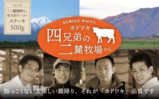 A4･A5「二麓（にろく）霜降り」黒毛和牛（大判）ひとくちステーキ 500g（250g×2） ニセコ連峰と鈴鹿山脈、二つの麓（ふもと）で育てた脂の質にこだわった美味しい霜降りをリーズナブルに│牛肉 国産牛 ブランド牛 冷凍便 年末年始 お正月 焼肉 BBQ 三重県 四日市市 ふるさと納税