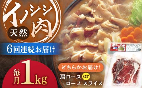 【6回定期便】ジビエ 天然イノシシ肉 肩ロース ＆ ロース スライス1kg【照本食肉加工所】 [OAJ059]