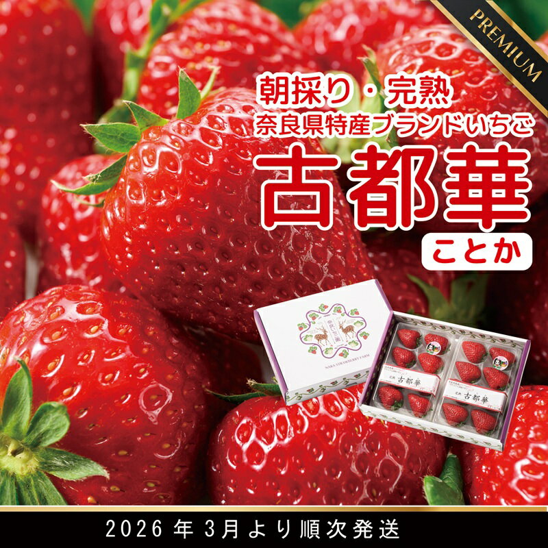【ふるさと納税】【数量限定】【先行予約】【3月より順次発送】奈良県特産 高級ブランドいちご「古都華」 // いちご イチゴ 古都華 フルーツ 果物 旬 限定 ブランド 朝採り 完熟 いちご ことか 先行予約 古都華 数量限定 古都華 甘い 先行受付 予約 贈答用 ギフト 化粧箱