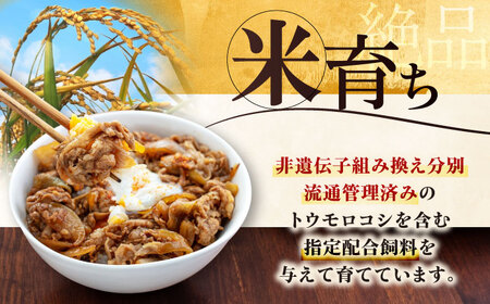 【全12回定期便】 三元豚 切り落とし 計2kg（500g×4パック） 《喜茂別町》【平田牧場】 肉 豚肉 生姜焼き 小分け 冷凍 冷凍配送 定期便[AJAP037]