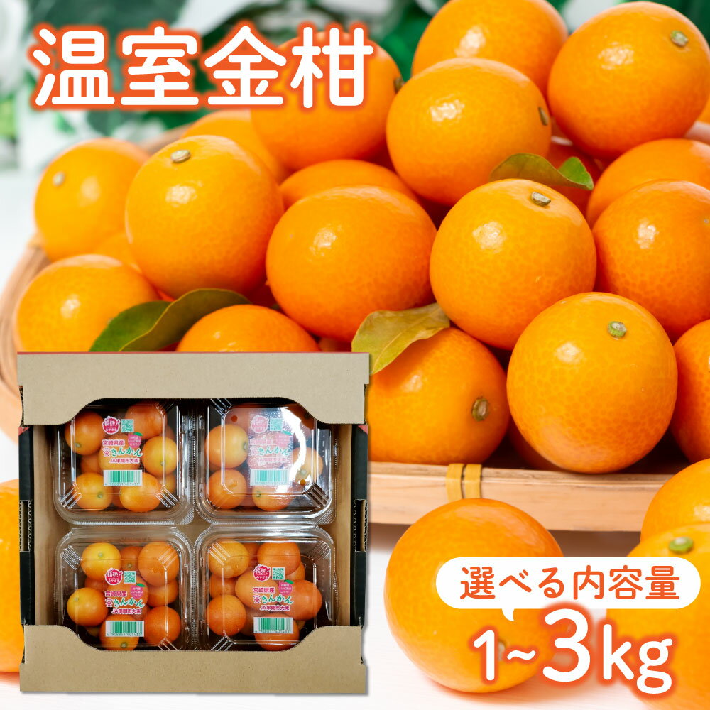 【ふるさと納税】＜先行予約・数量限定＞温室金柑 1〜3kg(250g×4〜12パック) 【KU434】