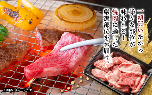 【飛騨牛】切り落し焼肉用 400g 岐阜県産 黒毛和牛【配送不可地域：離島】
