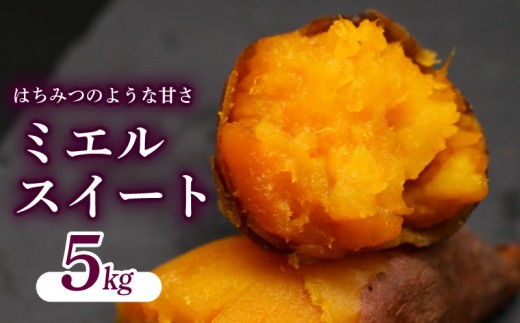 【先行予約】(2026年10月末～発送予定) ミエルスイート 5キロ サツマイモ 芋 いも ミエルスィート おやつ スイーツ いも天 芋天 焼き芋 焼いも 焼芋 やきいも 高知県 南国市