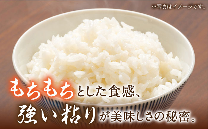 【3年連続特A獲得】長崎県産 精米 にこまる 5kg×2袋 総計10kg / 米 お米 こめ コメ 精米 / 南島原市 / 大松屋商店 [SDR013]
