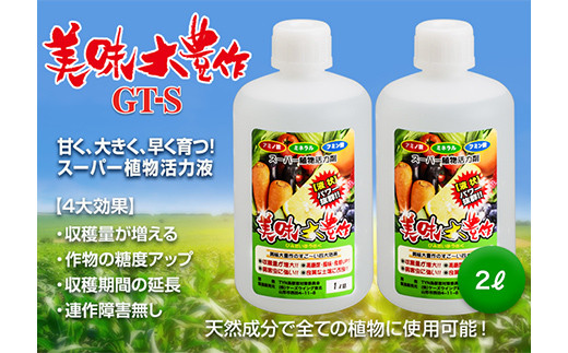 
植物活力液 美味大豊作 GT-S 2L(1L×2個) 肥料 園芸 野菜 花 作物 F21A-422
