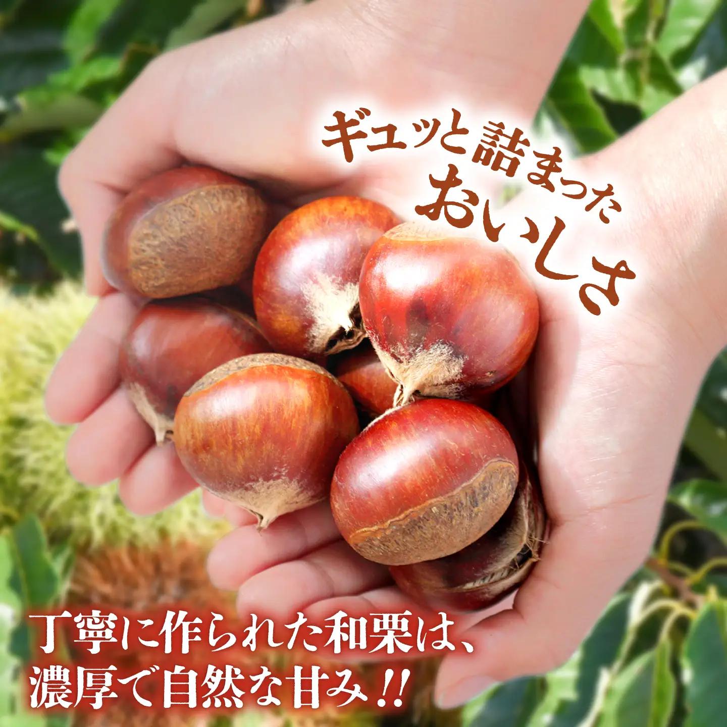＼生活応援よか値キャンペーン／ むき栗 約1kg 約250g×4pc  ZEP060-CP